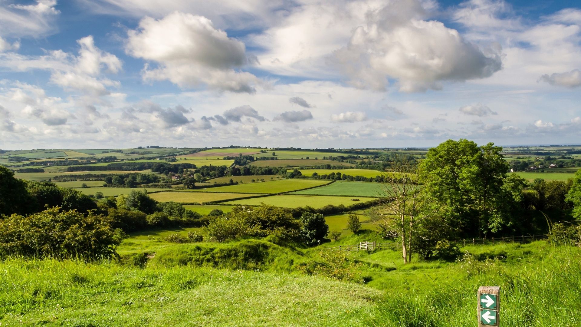 Asbestos Removal Cranwell