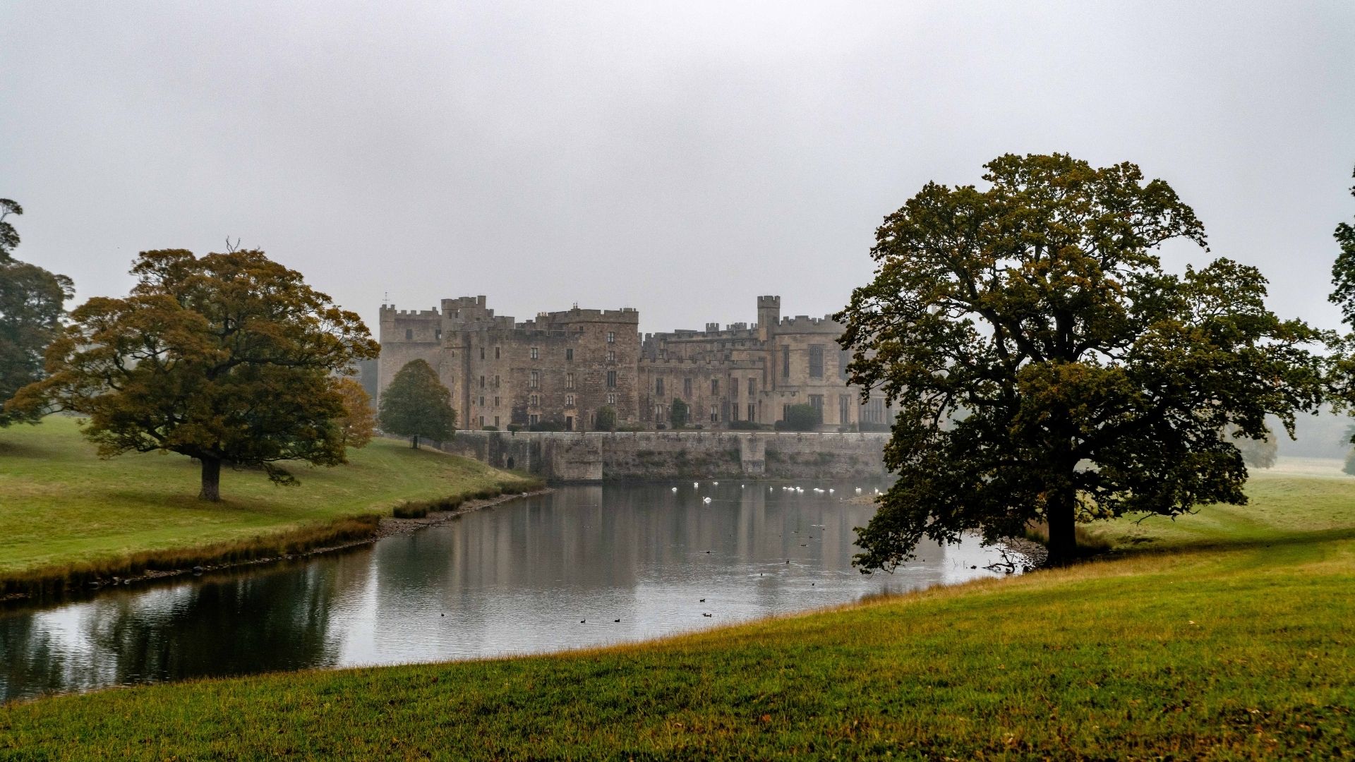 Asbestos Removal Darlington