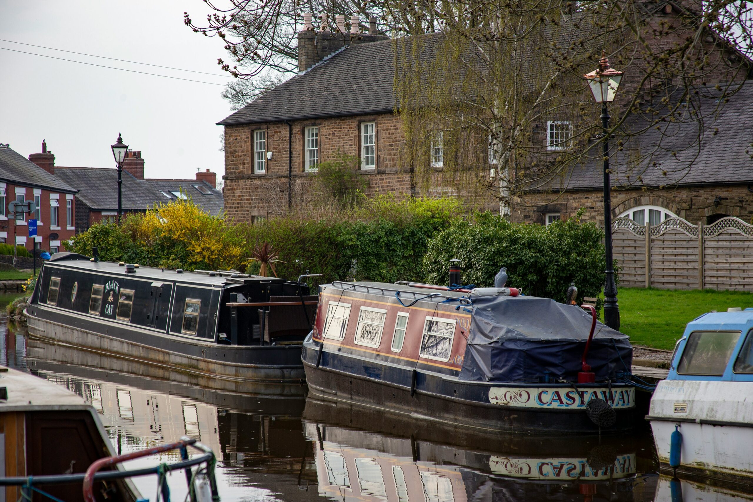 Marple